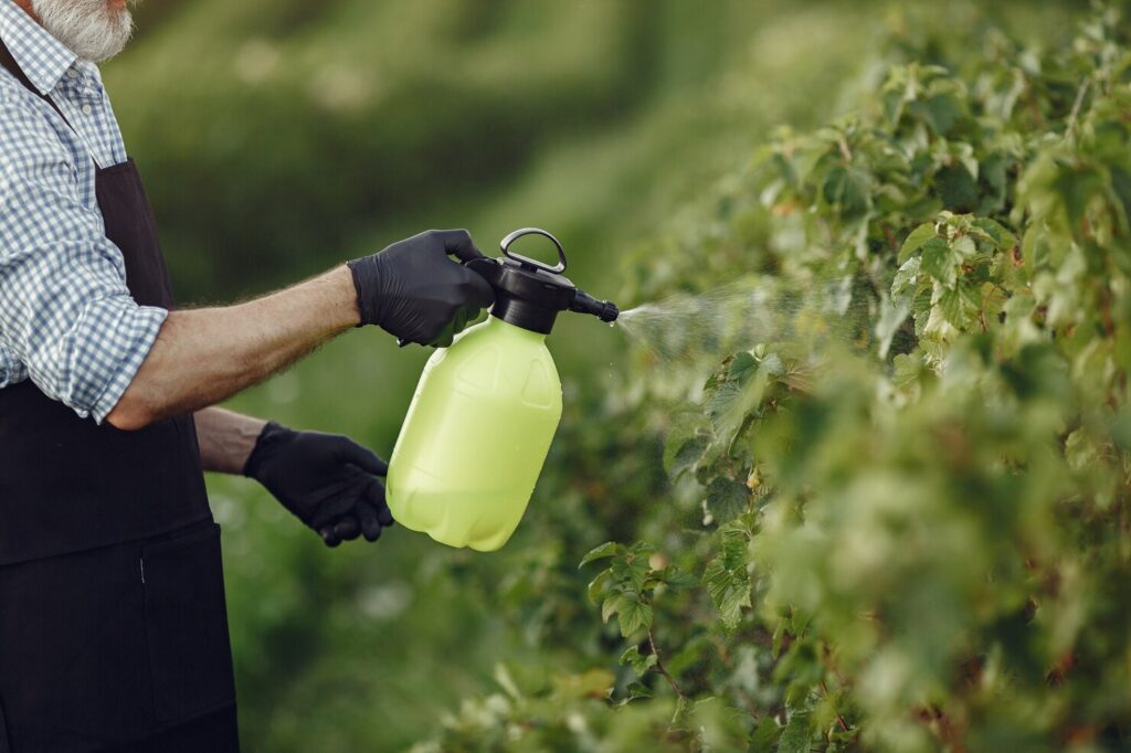 pest control ant treatment Kansas City