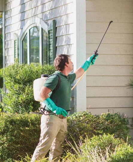 Home Insect Control